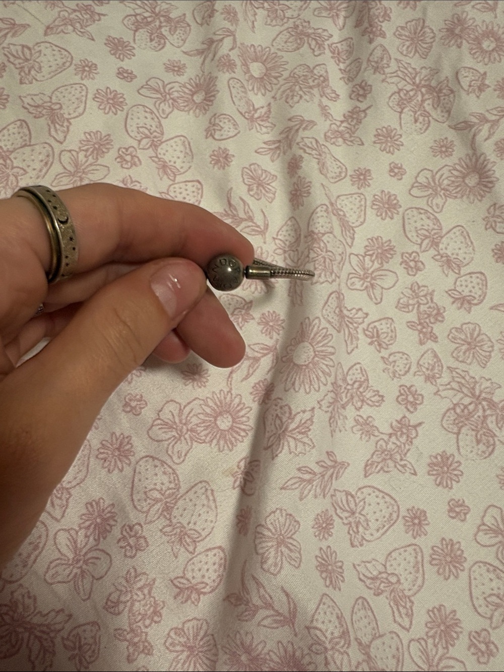 Pandora Silver-tone Decorative Bed Accent with Pink Floral Sheet